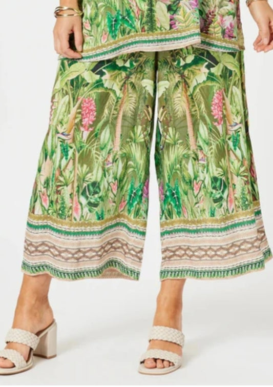 Hammock and Vine toucan print pants